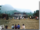 vcf_chuahuong3.gif (10785 bytes)