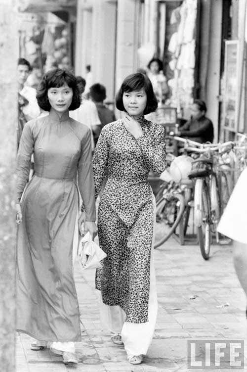 Nhập mô tả cho ảnh