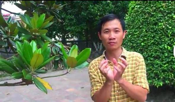 Đă t́m thấy cành hoa sen gây tranh căi trong ca dao? - Ảnh 1.