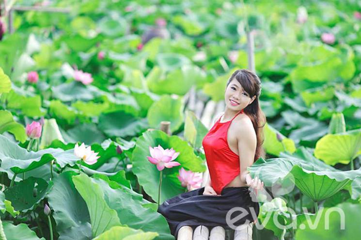 sen, sen Hồ Tây, thiếu nữ, áo yếm