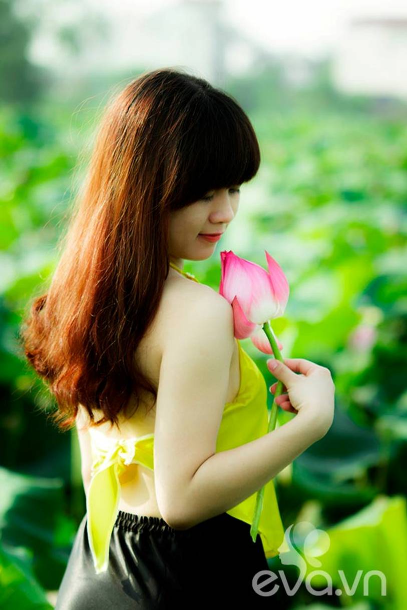 sen, sen Hồ Tây, thiếu nữ, áo yếm