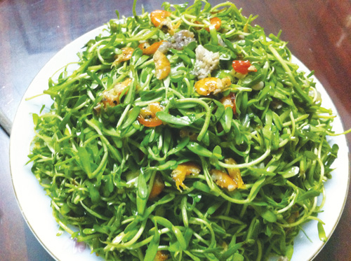 Còn thương rau đắng